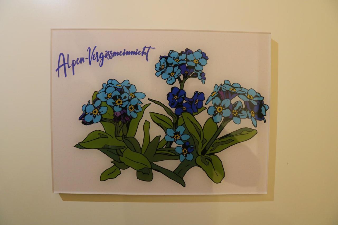 Ferienwohnungen Im Gasthof Stern Inklusive Koenigscard أونتر أمركاو المظهر الخارجي الصورة